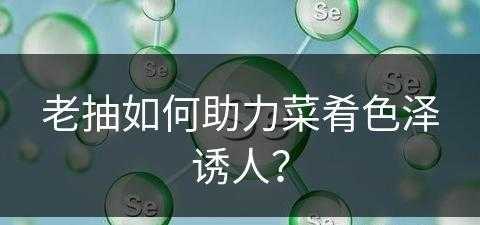 老抽如何助力菜肴色泽诱人？